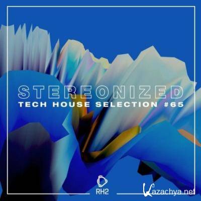 Stereonized: Tech House Selection, Vol. 65 (2022)