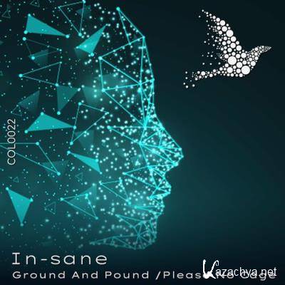 IN-SANE - Ground and Pound (2022)