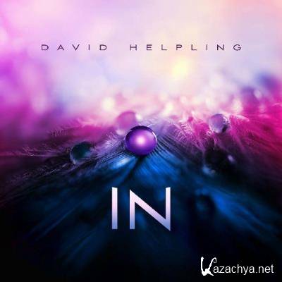 David Helpling - IN (2022)