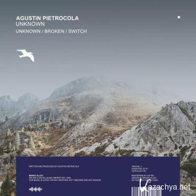 Agustin Pietrocola - Unknown (2022)