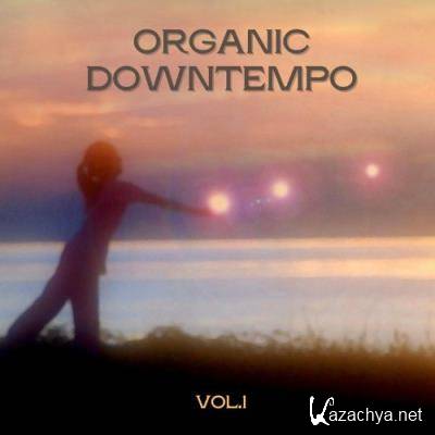 Organic Downtempo, Vol. 1 (2022)