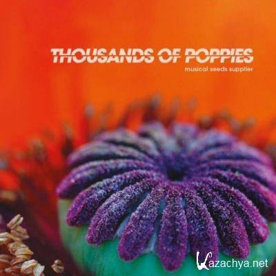 Thousands of Poppies - Musical Seeds Supplier (2022)