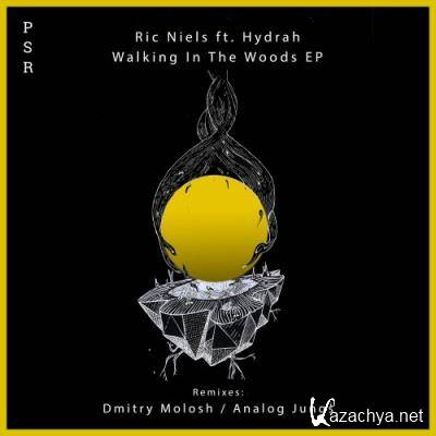 Ric Niels & Analog Jungs - Walking In The Woods EP (2022)