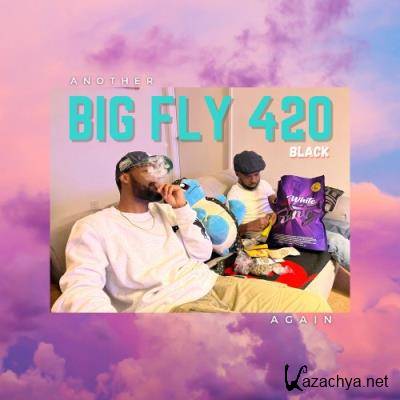 Big Kahuna OG & Fly Anakin - Another Big Fly 420, Again (2022)