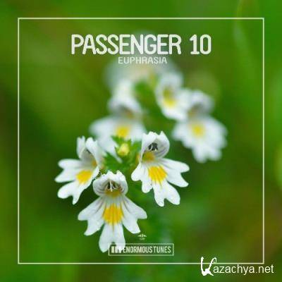 Passenger 10 - Euphrasia (2022)