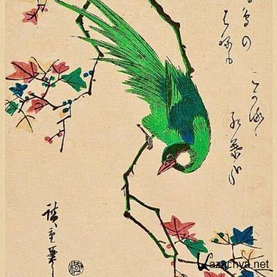 Shane Houghtaling - Still Dreams (2022)