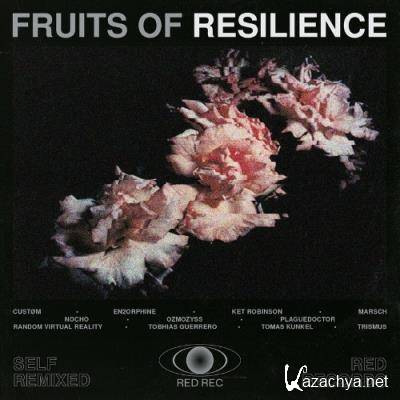 Fruits Of Resilience (Self Remixed) (2022)