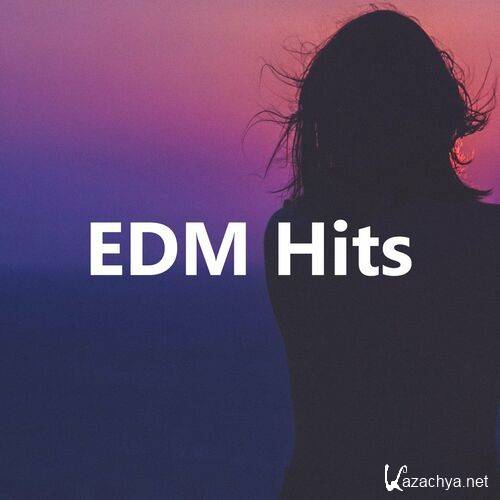 Various Artists - EDM HITS (2022)