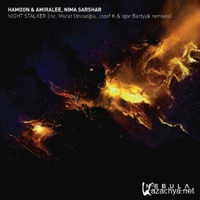 Hamoon & Amiralee x Nima Sarshar - Night Stalker (2022)