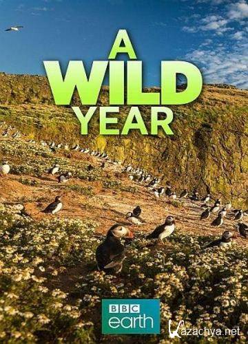 Безумный год в дикой природе / A Wild Year (2020) HDTVRip 720p