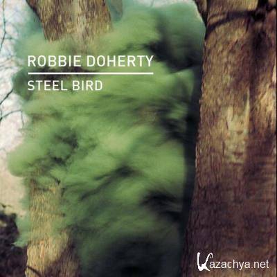 Robbie Doherty - Steel Bird (2022)