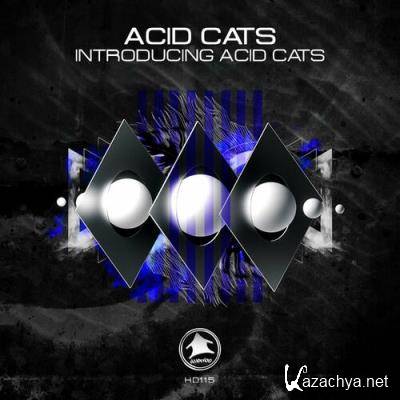 Acid Cats - Introducing Acid Cats (2022)