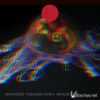 Tomash Kofa - Spaceship (2022)