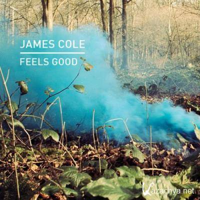 James Cole - Feels Good (2022)