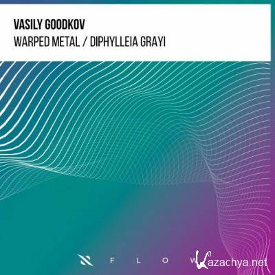 Vasily Goodkov - Warped Metal / Diphylleia Grayi (2022)