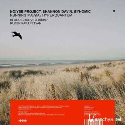 Noiyse Project & Shannon Davin - Running Mavka / Hyperquantum (2022)