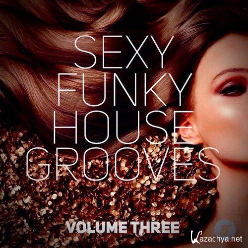 Various Artists - Sexy Funky House Grooves Volume Three (2022)
