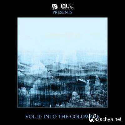 DMK PRESENTS - VOL II: Into The Coldwave (2022)