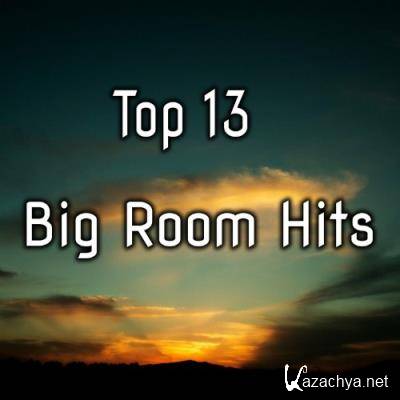 Top 13 Big Room Hits (2022)