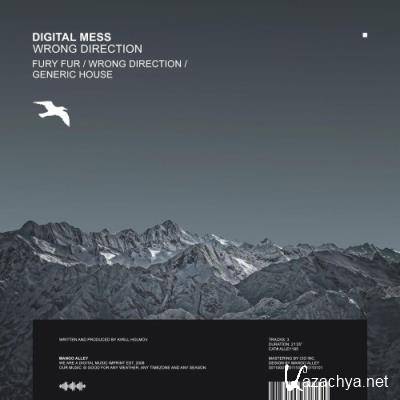 Digital Mess - Wrong Direction (2022)