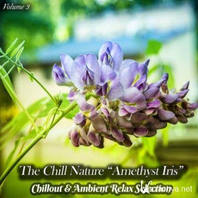 The Chill Nature "Amethyst Iris", Vol. 3 (Chillout & Ambient Relax Selection) (2022)
