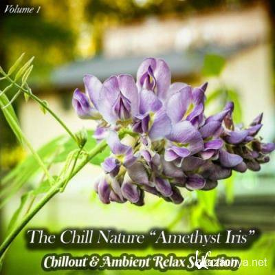 The Chill Nature "Amethyst Iris", Vol. 1 (Chillout & Ambient Relax Selection) (2022)