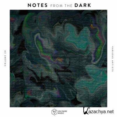 Notes from the Dark, Vol. 20 (2022)