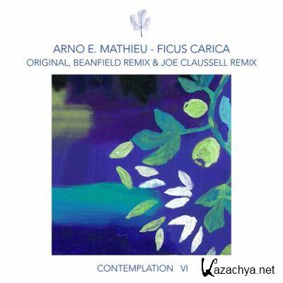 Arno E. Mathieu - Contemplation VI - Ficus Carica (2022)