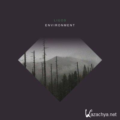 Liuos - Environment (2022)