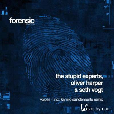 The Stupid Experts & Oliver Harper & Seth Vogt - Voices (2022)