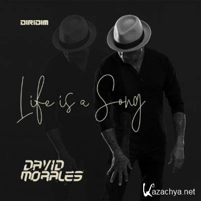 David Morales - Life Is A Song (Instrumental Mixes) (2022)