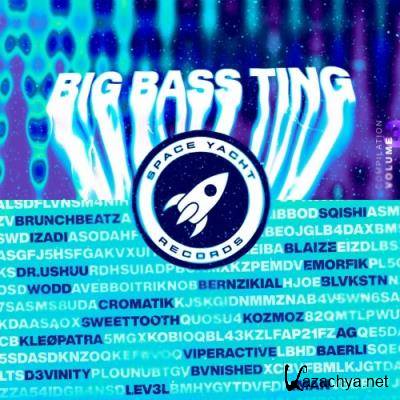 Big Bass Ting Vol. 3 (2022)