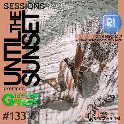Terry Gaters - Until The Sunset 133 (2022-06-06)
