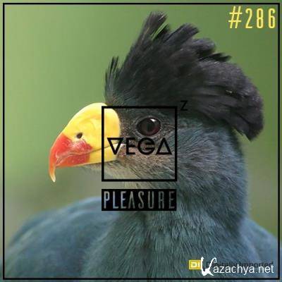 Vega Z - Pleasure 286 (2022-06-08)
