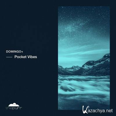 Domingo - Pocket Vibes (2022)