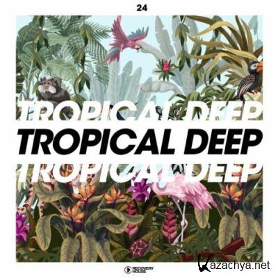 Tropical Deep, Vol. 24 (2022)