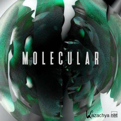 Molecular & Amoss - Culture EP (2022)