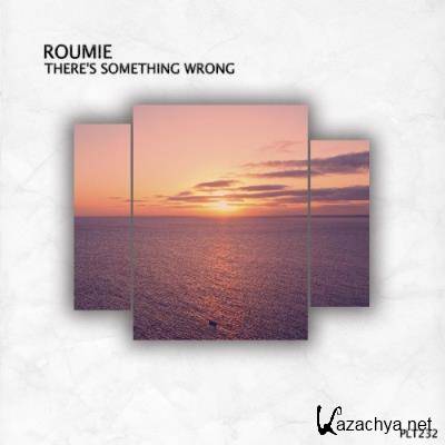 Roumie - There's Something Wrong (2022)