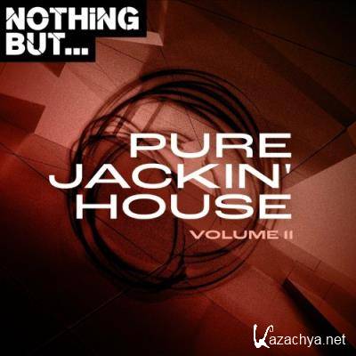 Nothing But... Pure Jackin' House, Vol. 11 (2022)