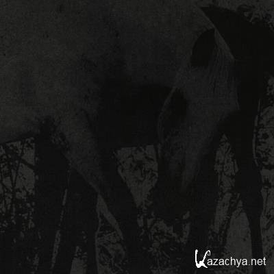 JK Flesh - Veneer Of Tolerance (2022)