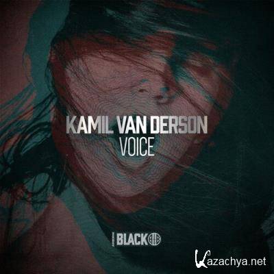 Kamil van Derson - Voice (2022)