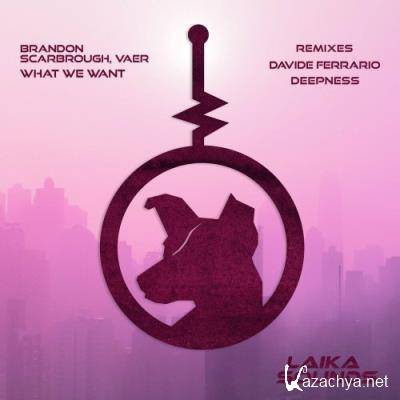 Brandon Scarbrough & Vaer - What We Want (2022)