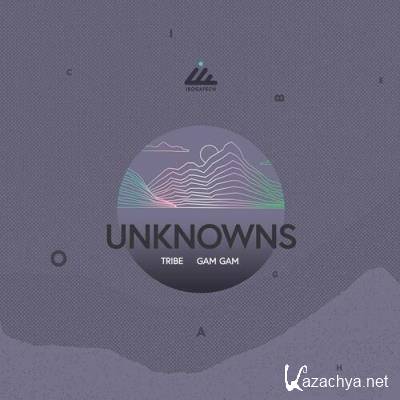 Unknowns - Tribe / Gam Gam (2022)