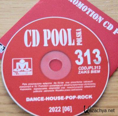 DJ Promotion CD Pool Polska 313 (2022)