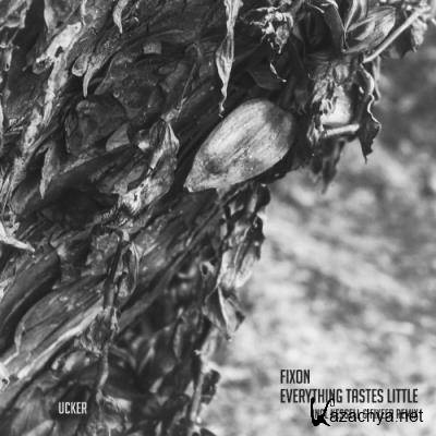 Fixon - Everything Tastes Little (2022)