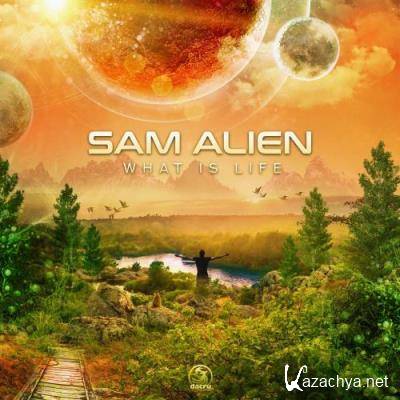 Sam Alien - What Is Life (2022)