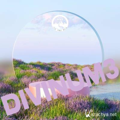 Natura Viva In The Mix - Divinum 3 (2022)