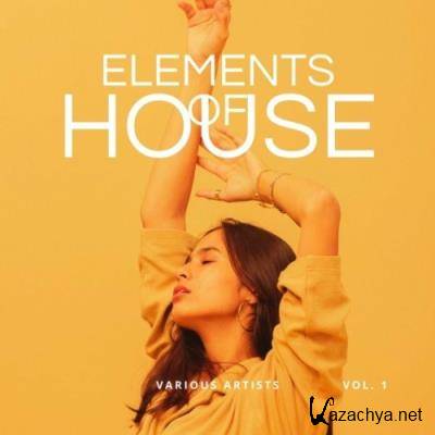 Elements of House, Vol. 1 (2022)