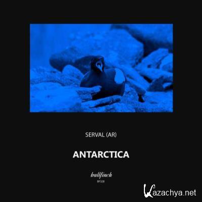 Serval (AR) - Antarctica (2022)