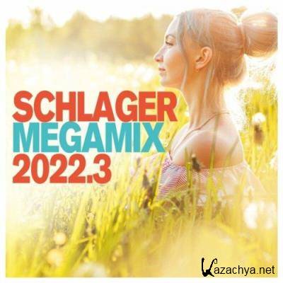 Schlager Megamix 2022.3 (2022)